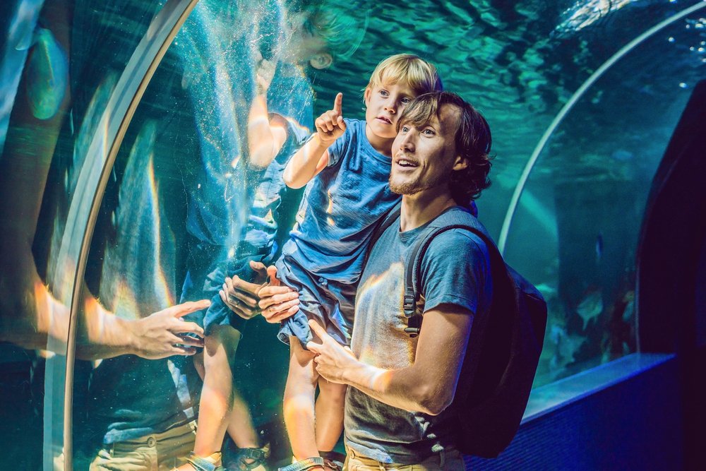 A father and son unschooling at an aquarium